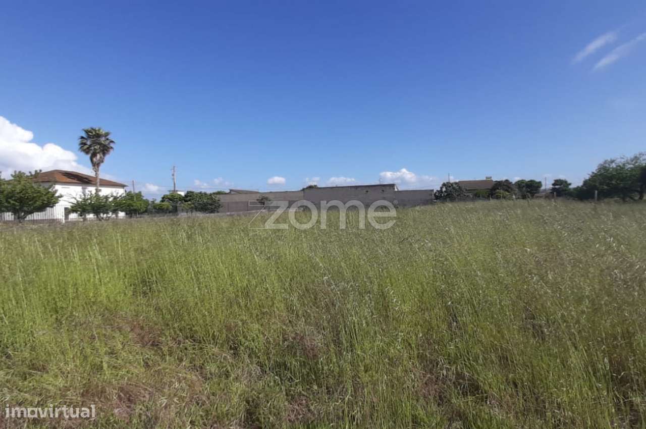 Terreno 1390 m2 | Ereira | Montemor-o-Velho - Grande imagem: 4/16