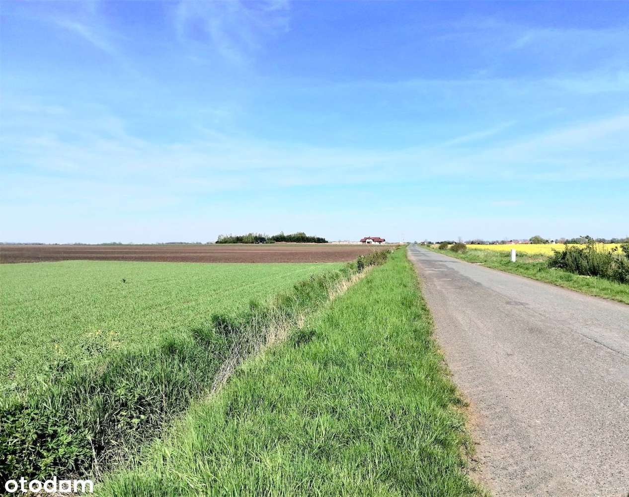 Do sprzedania działka z warunkami zabudowy Kurczów - Pełny obrazek: 5/10