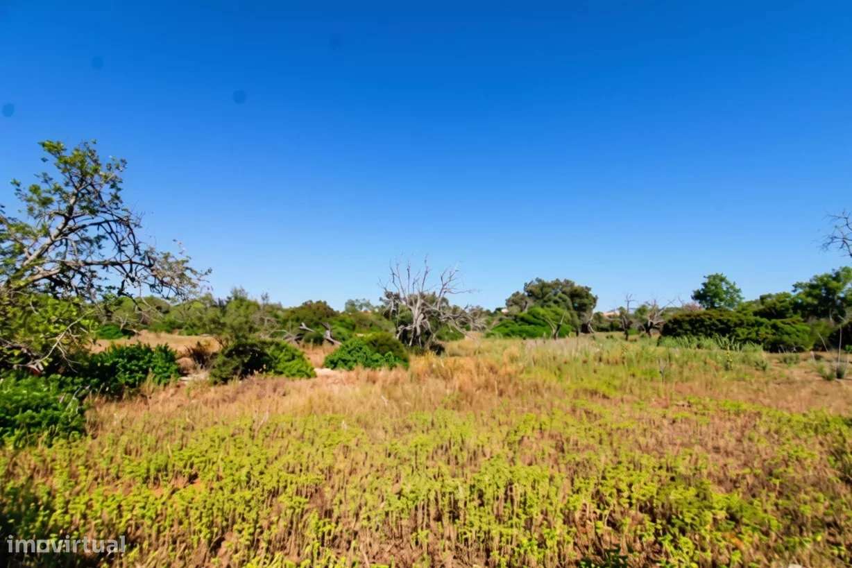 Dois terrenos rústicos planos, vendidos em conjunto, com 7120 m2-8