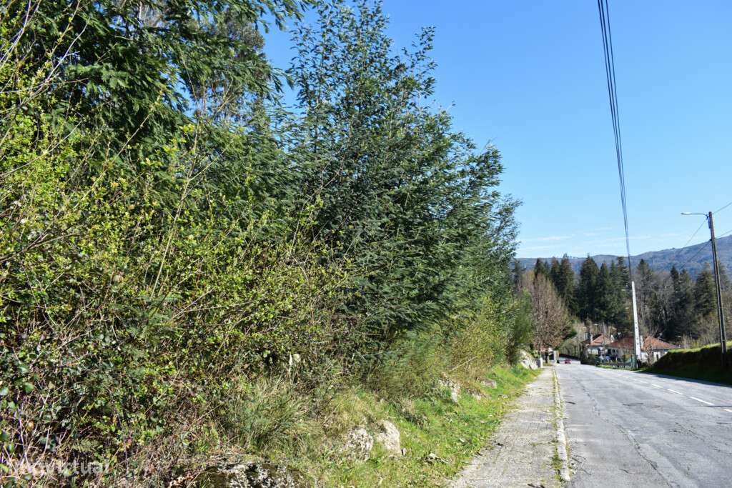 Lote Construção - Vieira do Minho - Grande imagem: 2/9