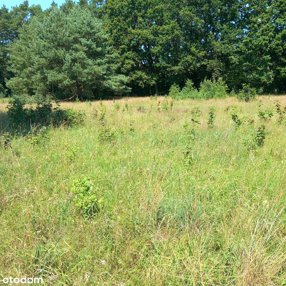 Małe budowlane przy lesie, mediach, asfaltowej drodze i szumie rzeczki-3