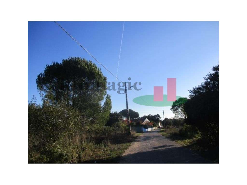 Terreno Urbano em Tomar ****RIOMAGIC**** - Grande imagem: 4/12
