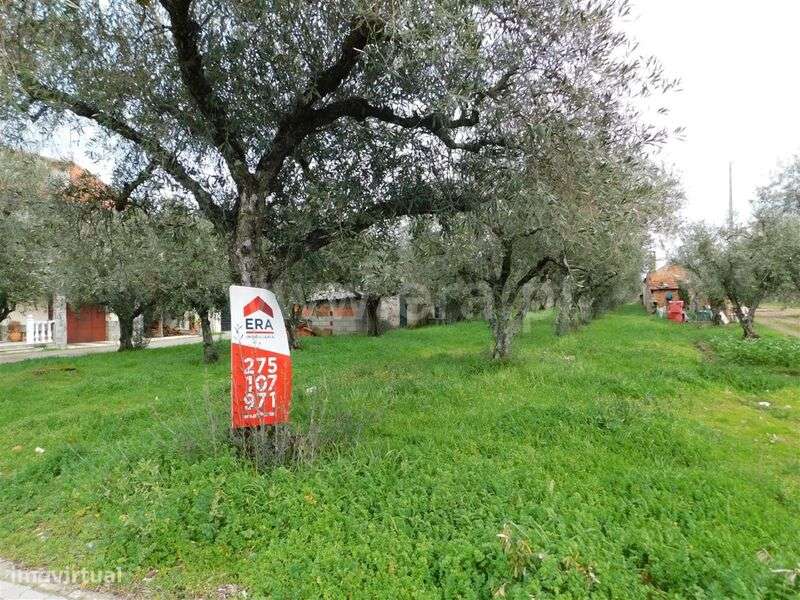 Terreno para Construção / Fundão, Carvalhal - Grande imagem: 2/2