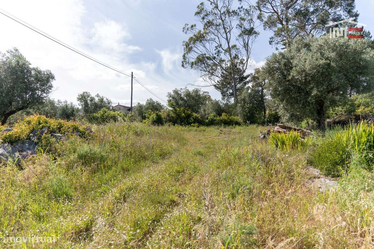 Terreno para construção no centro de Mira de Aire com 5.567 m2 - Grande imagem: 5/9