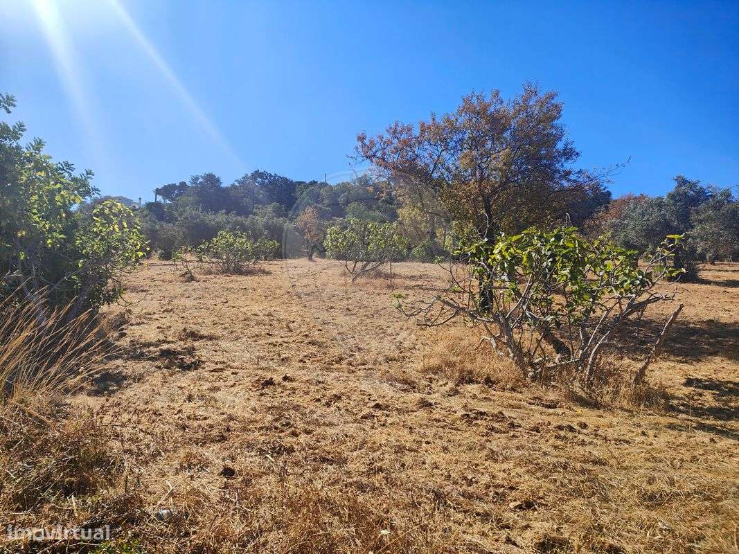 Terreno  para venda - Grande imagem: 4/12