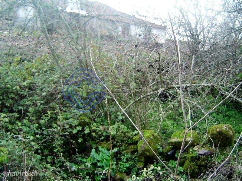 Ruína para restaurar em aldeia entre Tomar e Ferreira do Zêzere - Grande imagem: 4/19