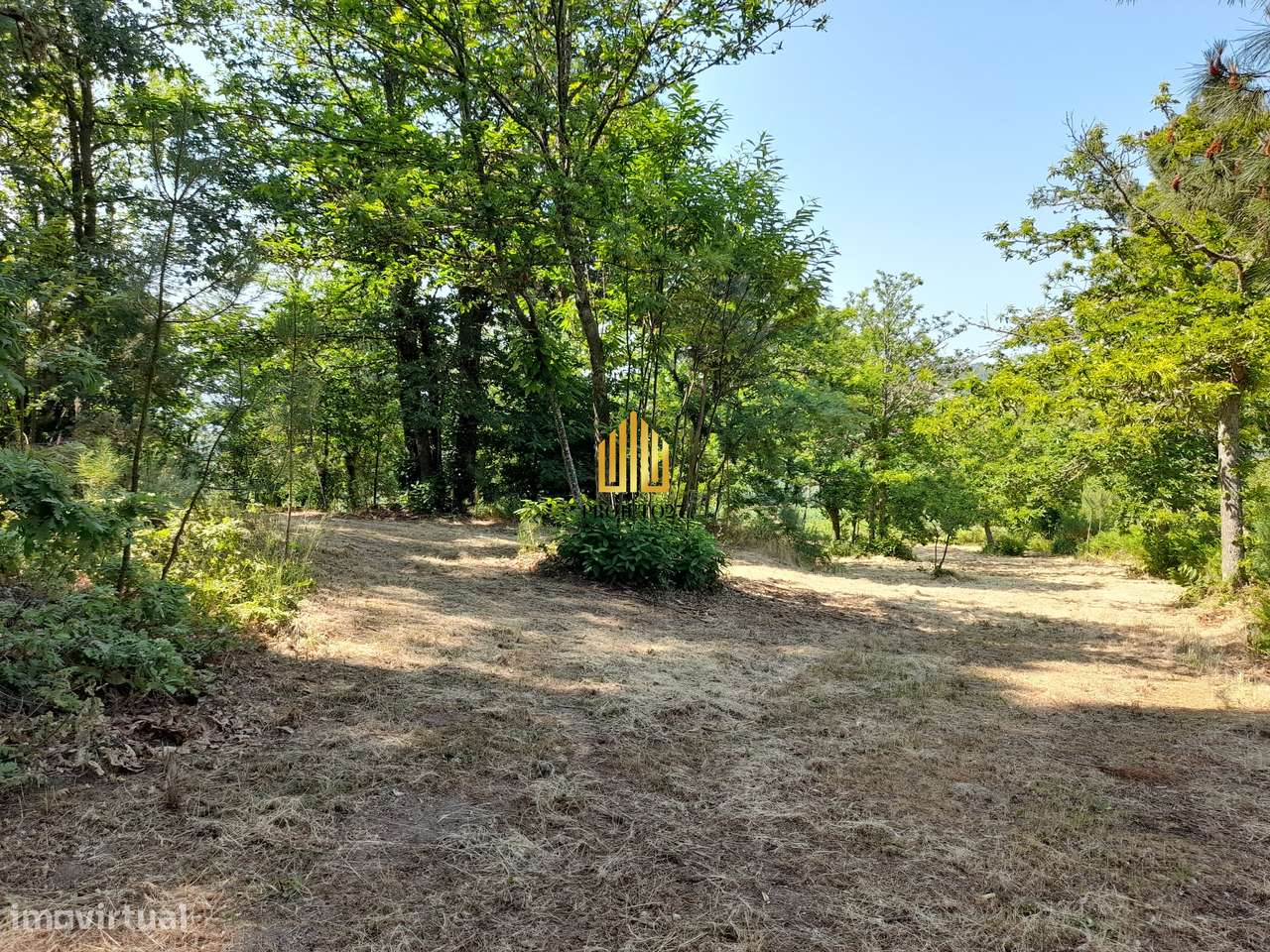 Terreno único com 21.500 m² Zona Vinhateira - Projeto Turístico-39