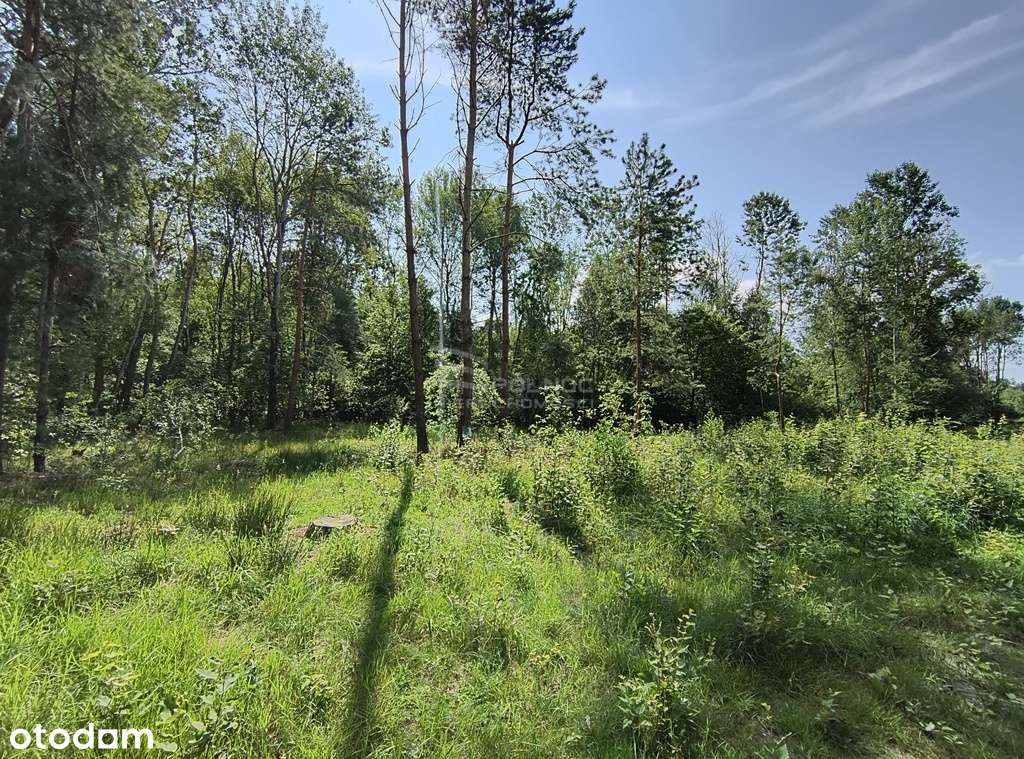 działka nad jeziorem wytyczno - Pełny obrazek: 5/9