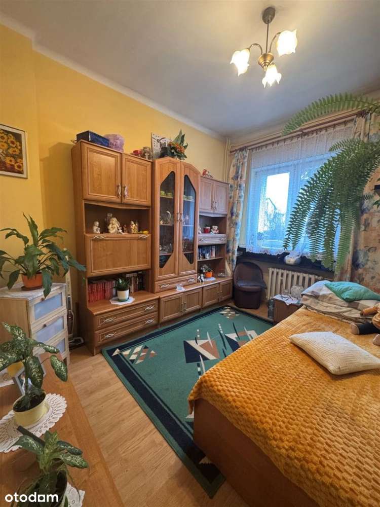 Mieszkanie, 47,80 m², Nowy Sącz-2