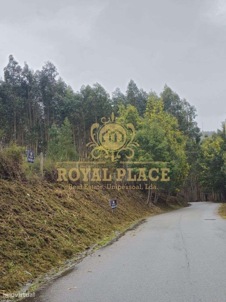 Terreno com 19.200m2, Santa Maria de Sardoura - Grande imagem: 4/12