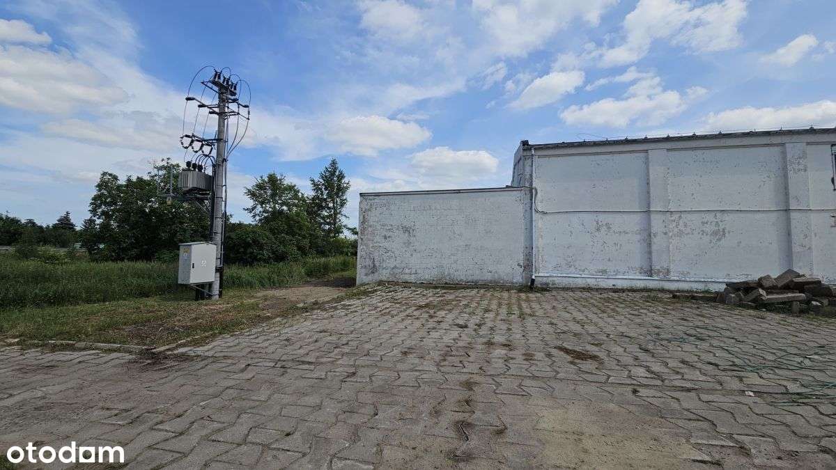 Plac SkŁadowy Przy S11 - Pełny obrazek: 4/6