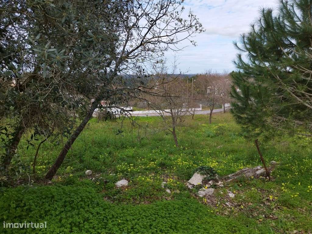 Terreno Urbano Venda Leiria-13