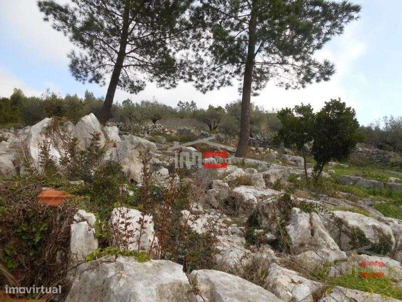 Terreno - Grande imagem: 3/8