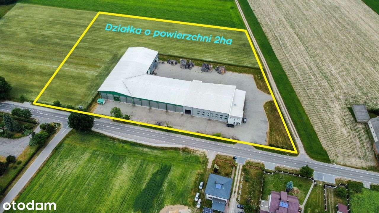 Hala z chłodniami i magazynami 3200m2, działka 2ha - Pełny obrazek: 4/20