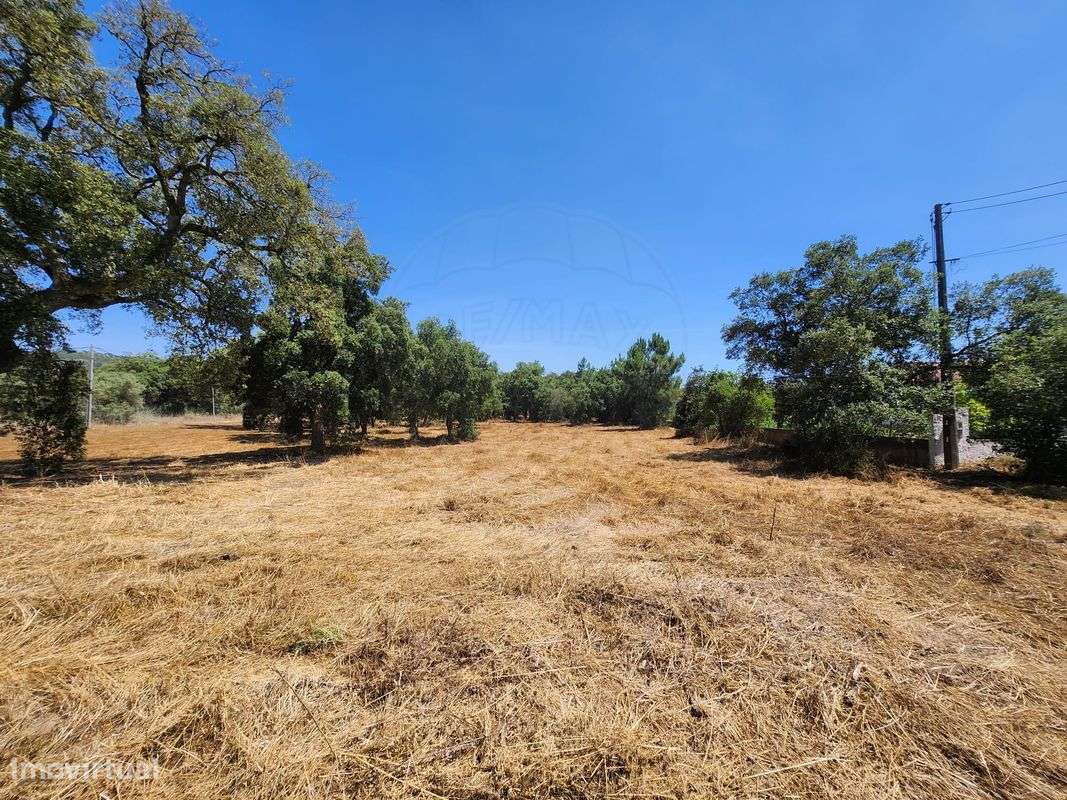 Terreno  para venda-10