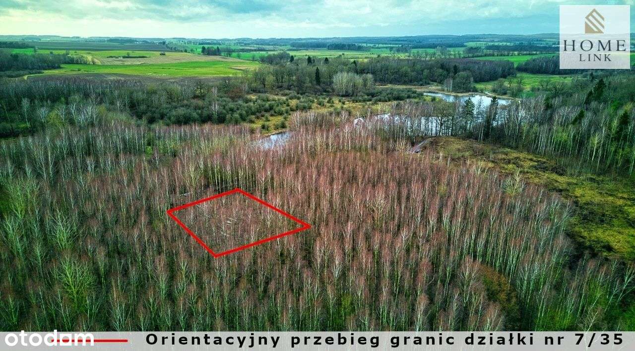 Działka w brzozach z dostępem do jeziora-5