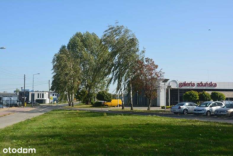 Sprzedam 2 działki inwestycyjne. 6700m2 i 9300m. - Pełny obrazek: 4/5