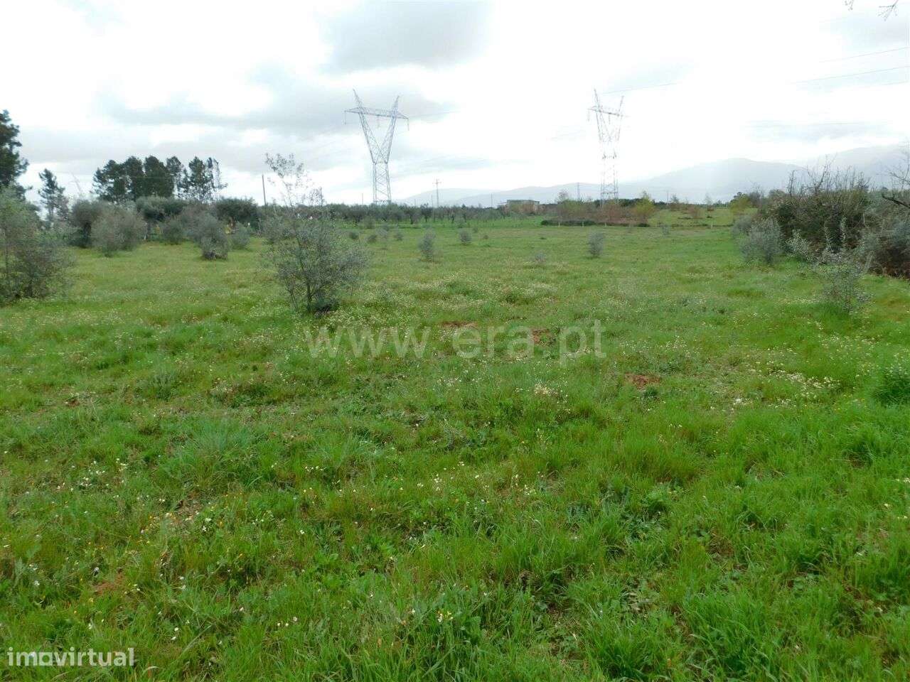 Terreno / Seia, Sameice e Santa Eulália - Grande imagem: 4/17