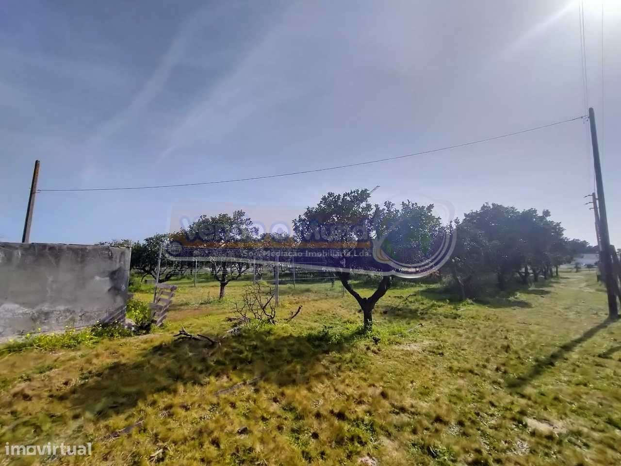 Terreno em Benavente (B446) - Grande imagem: 5/9