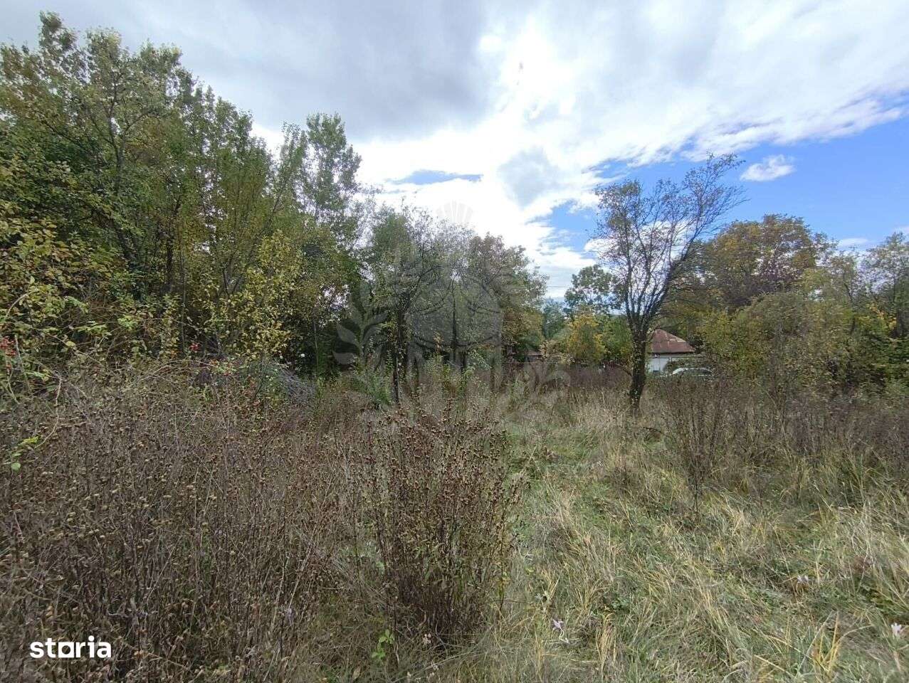 TEREN INTRAVILAN// CORNU DE JOS - Imagine principală: 4/6