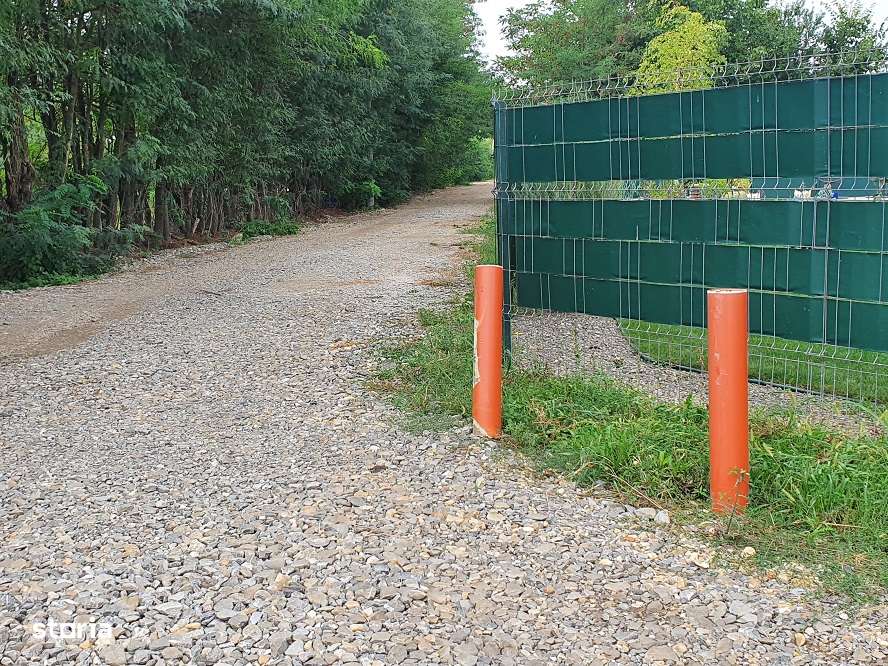 Teren Balotesti,vecinatate Dn1, utilitati+asfalt la 60 metri-11