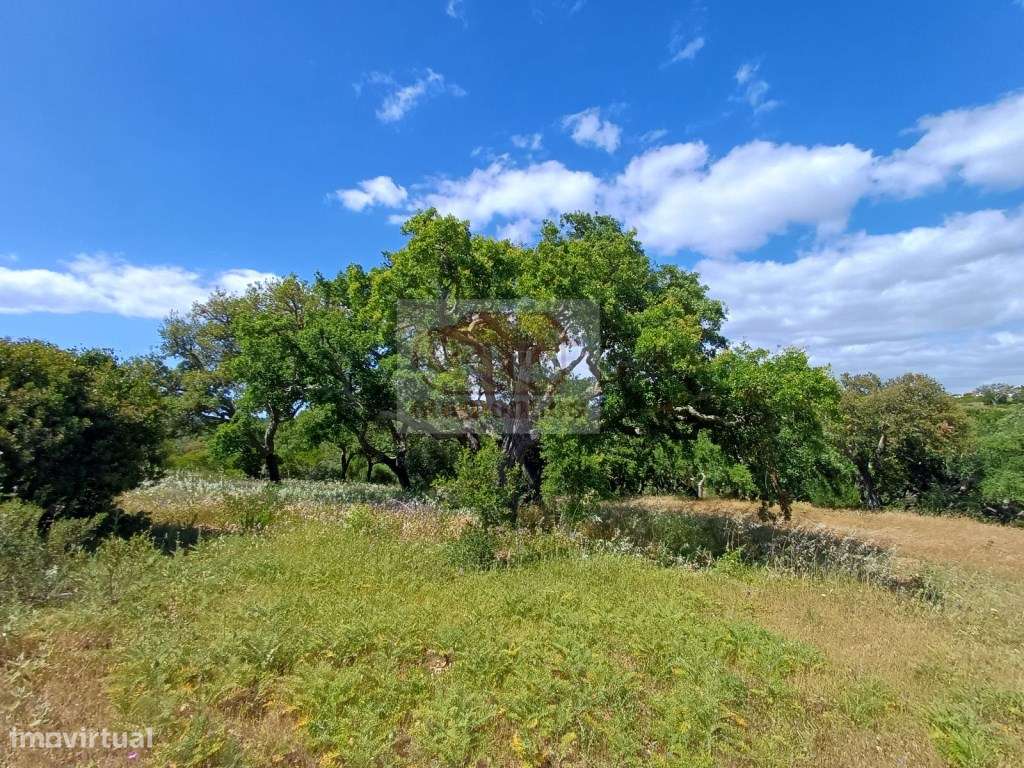 Monte Alentejano - Sul de Melides e 35 minutos da Comporta-24