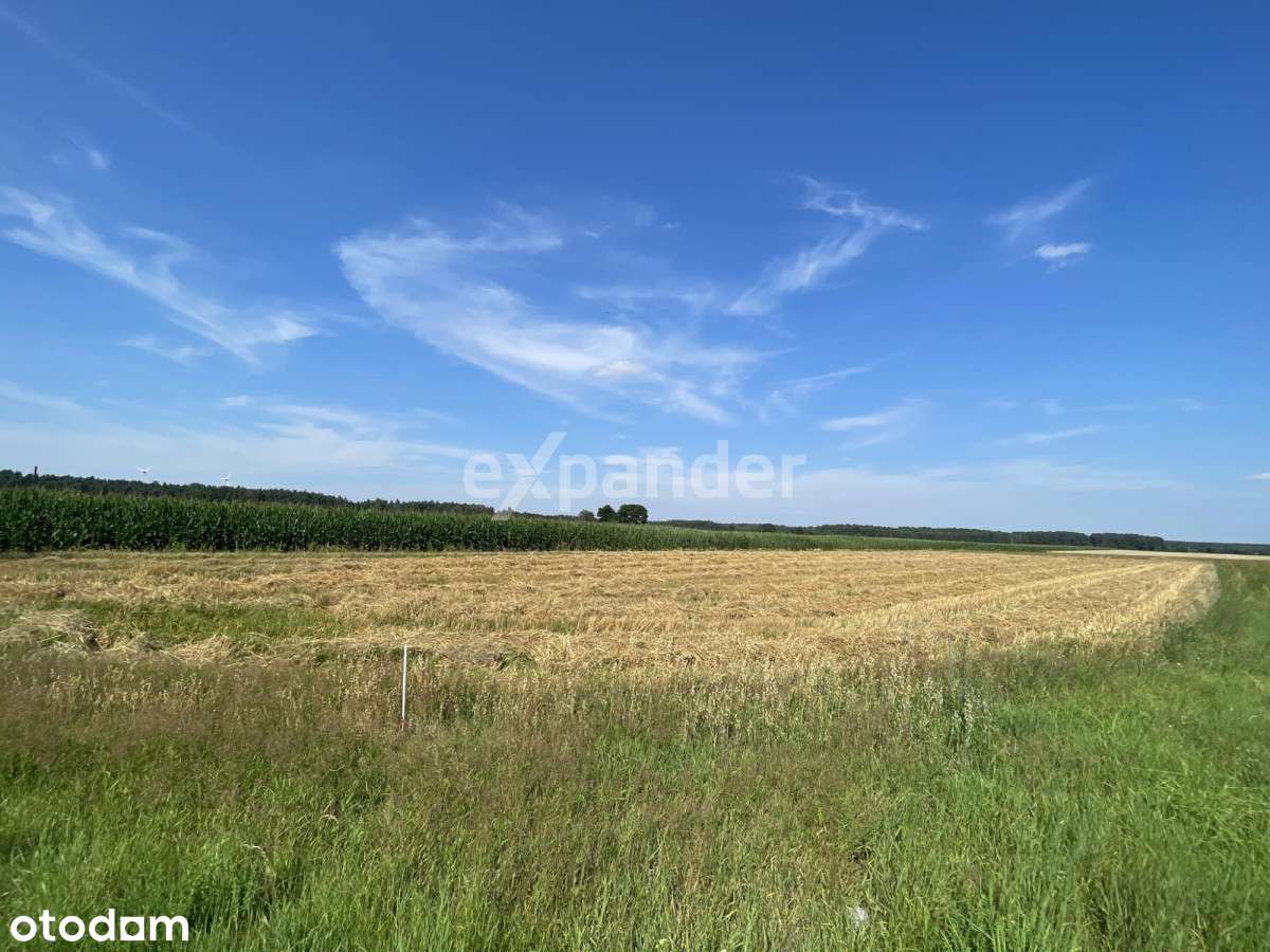Na sprzedaż działki budowlane – Stropieszyn - Pełny obrazek: 4/4