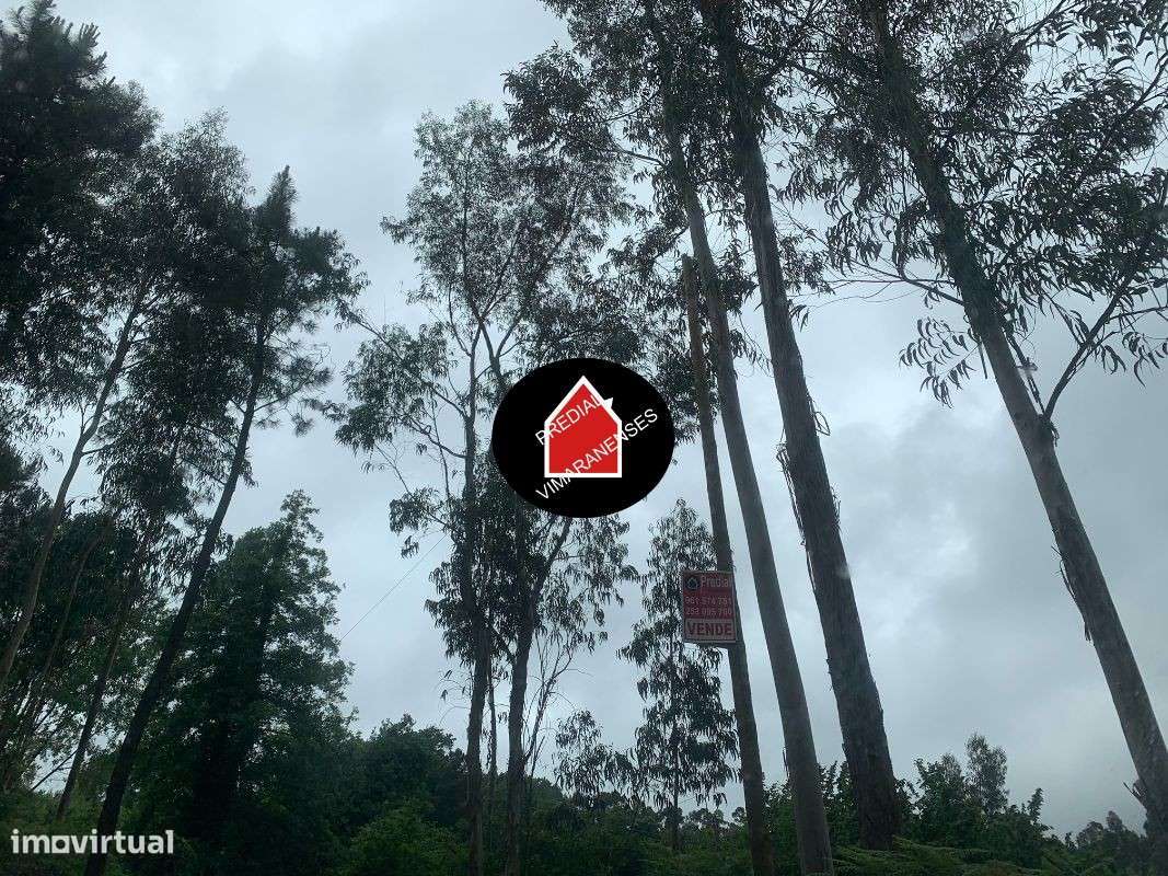 3 Casas + terrenos em Infantas-8