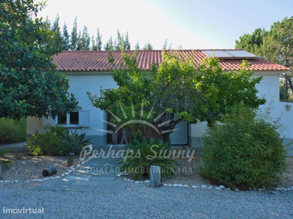 Quinta - Muda - Grande imagem: 2/60