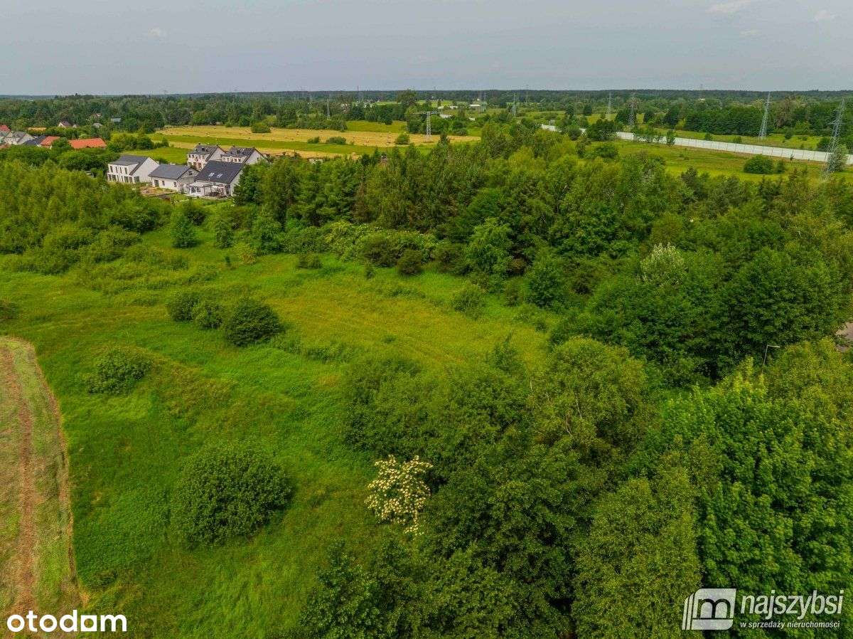 Zieleniewo - Działka blisko jeziora Miedwie - Pełny obrazek: 2/19
