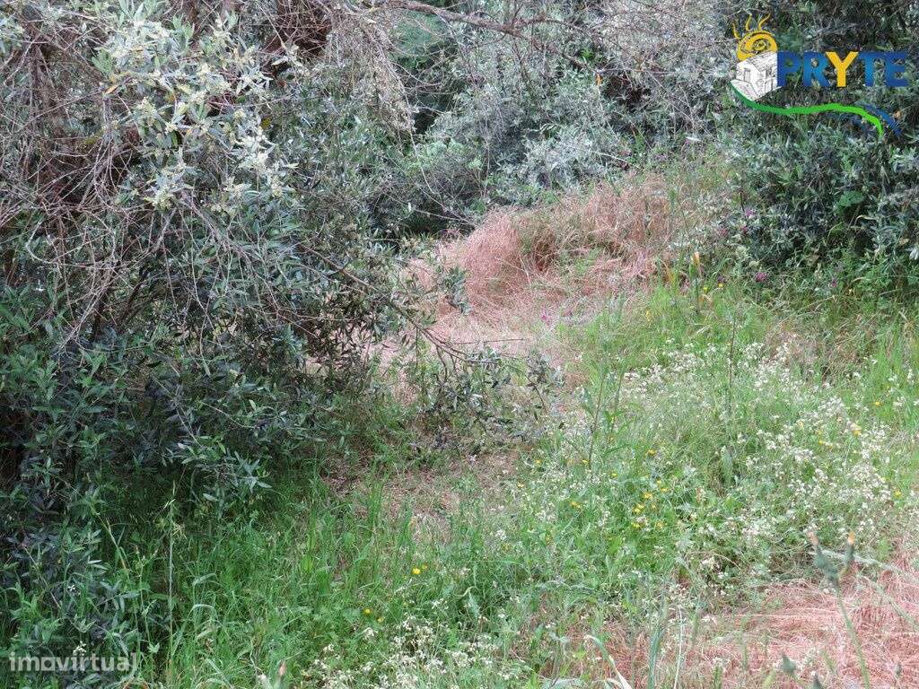 Pequena quinta a confinar com a Ribeira situada perto de Oleiros-44