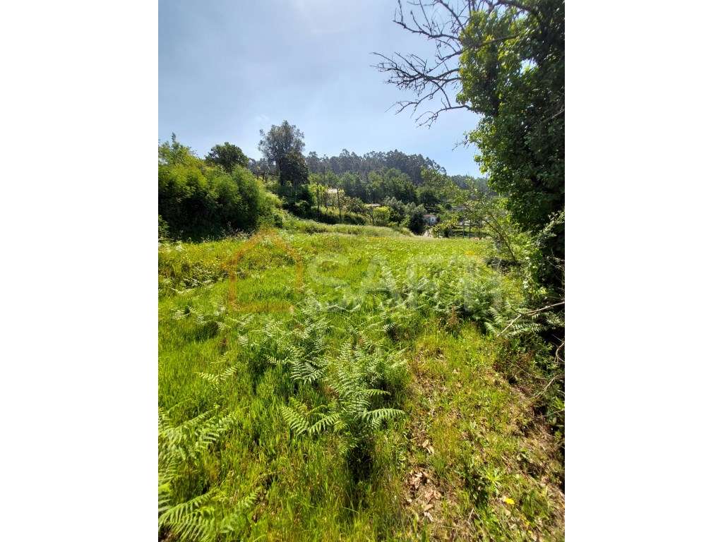 Terreno 1100m2 - Grande imagem: 3/4