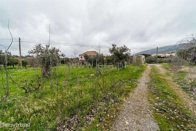 Quintinha / Fundão, Vale Prazeres - Grande imagem: 5/20