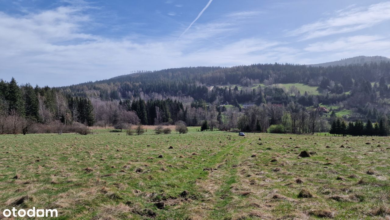 Parcela położona w górach - Orłowiec - Lądek Zdrój