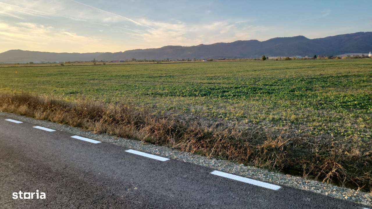 Teren de Vanzare Crizbav Brasov, curent , asfalt, apa ! Negociabil - Imagine principală: 2/7