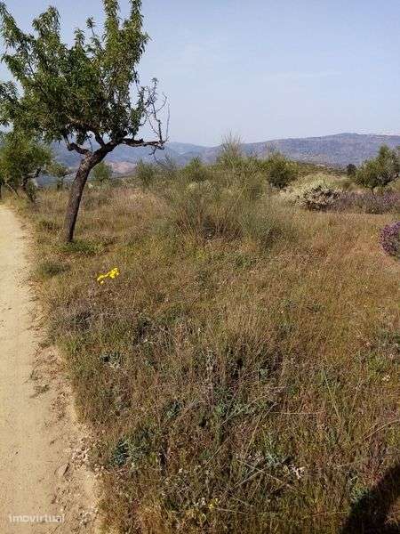 Terreno rústico em sequeiros Moncorvo - Grande imagem: 2/8