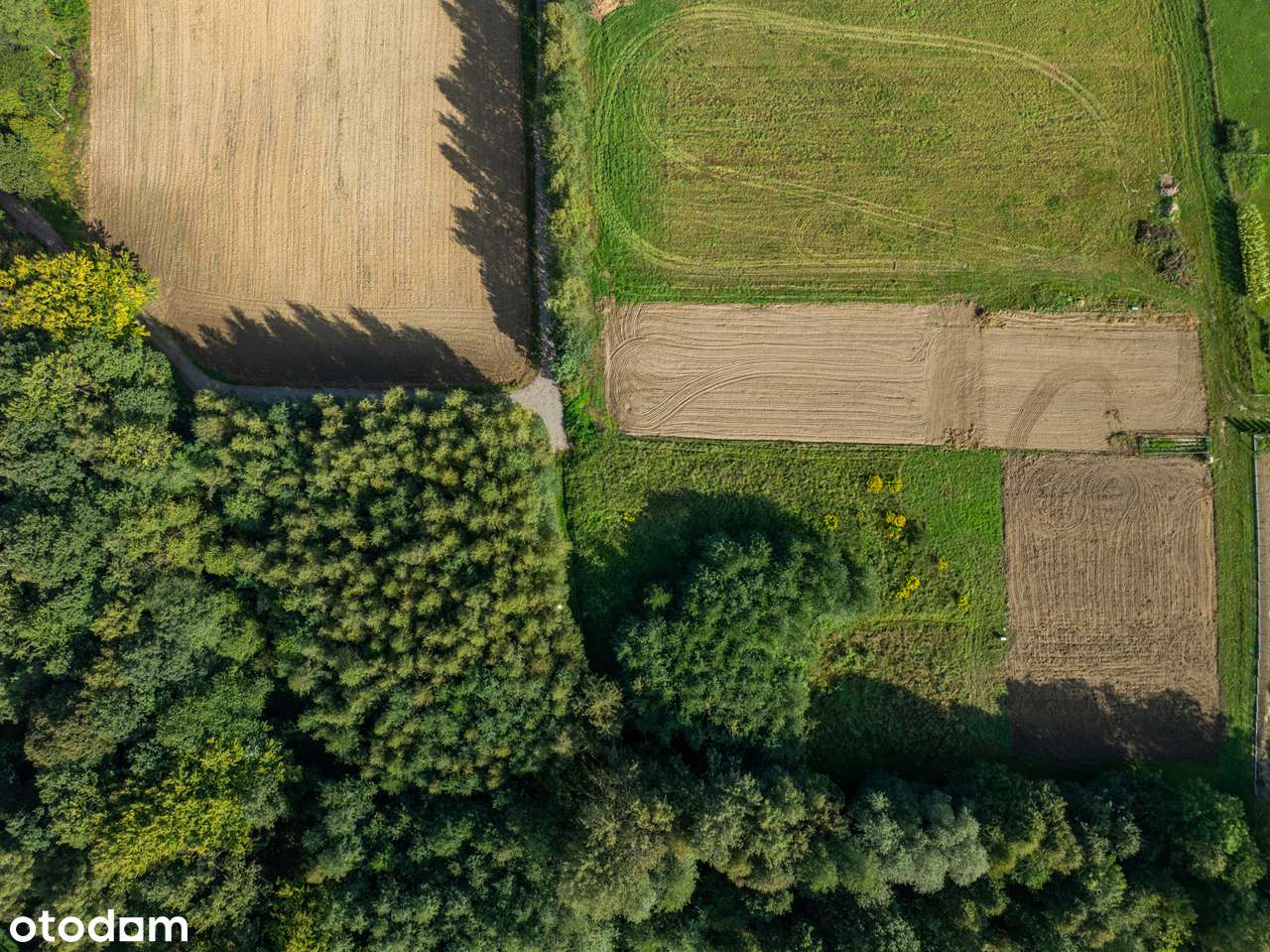 Działka budowlana z prywatnym lasem | Nidek-7