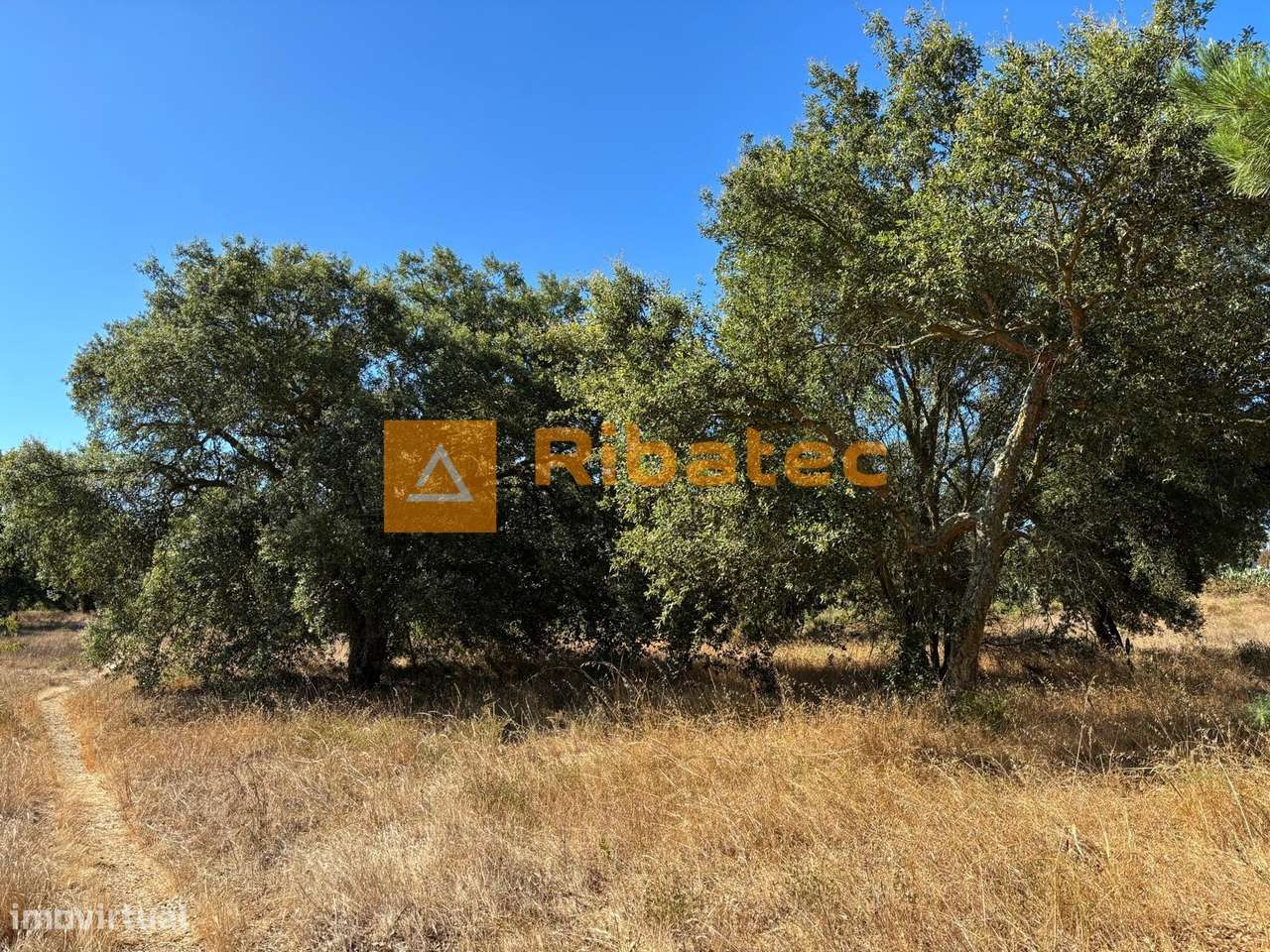 Terreno  Venda em Coruche, Fajarda e Erra,Coruche-5