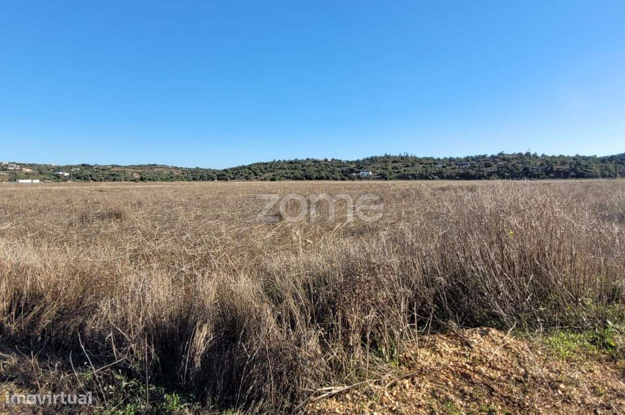 Terreno em Tunes - Grande imagem: 3/16