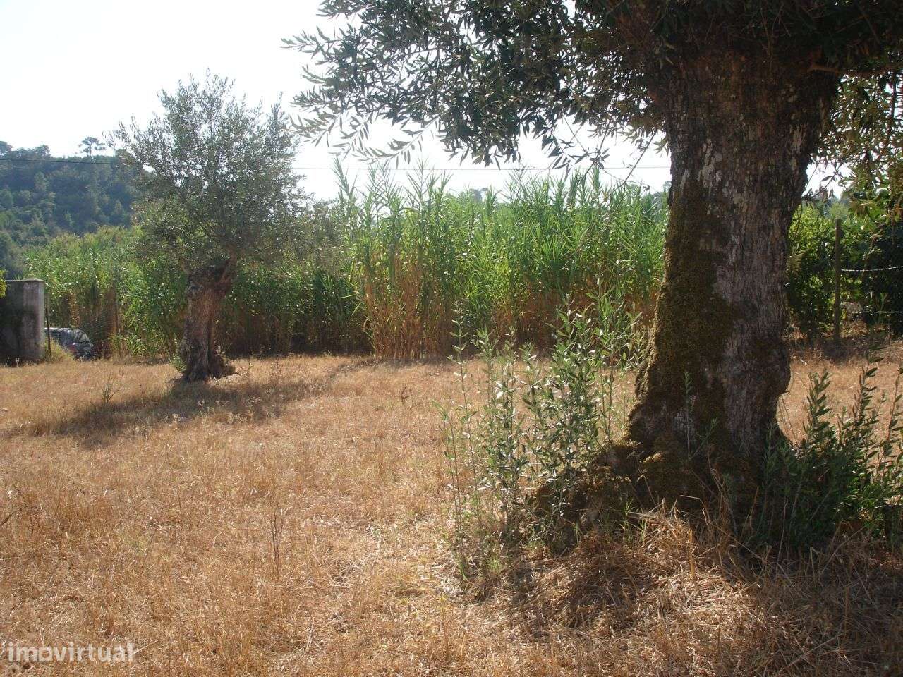 Lote Terreno - Grande imagem: 5/5