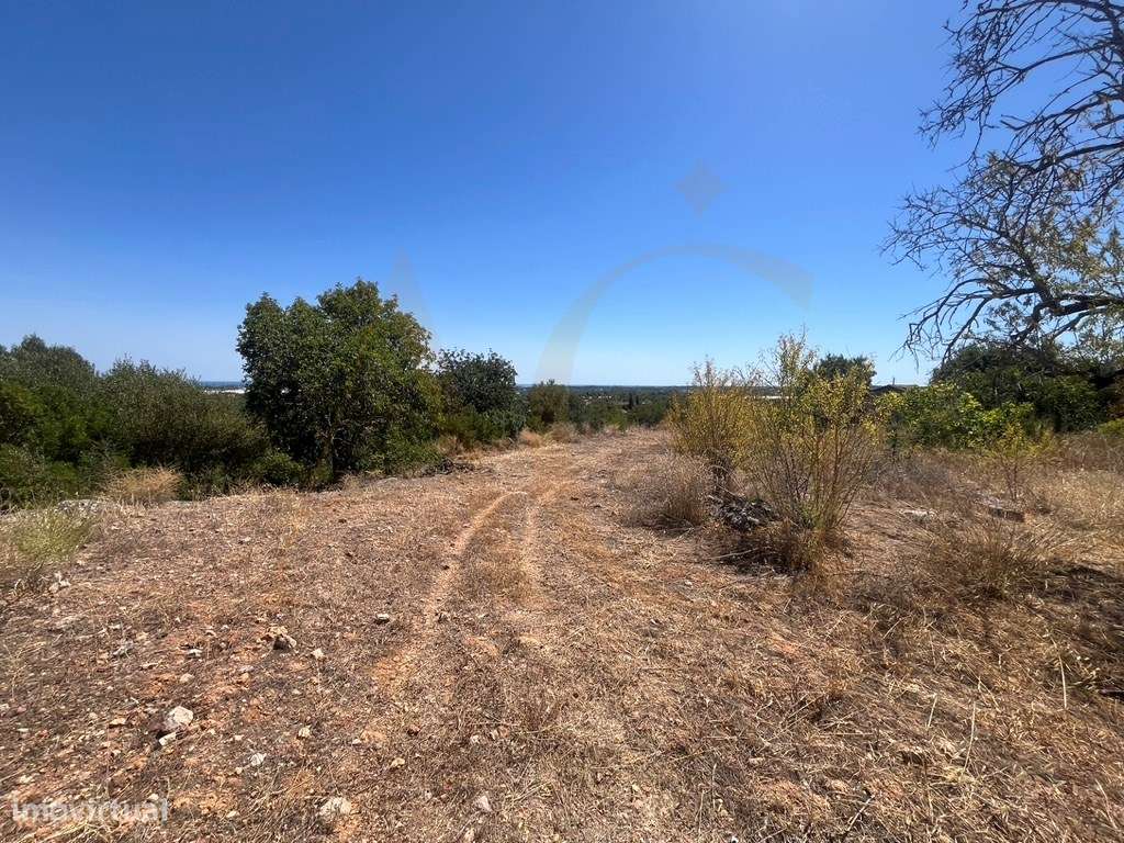 Quinta com duas casas, vistas para o mar e 11.940 m² de terreno em ...-52