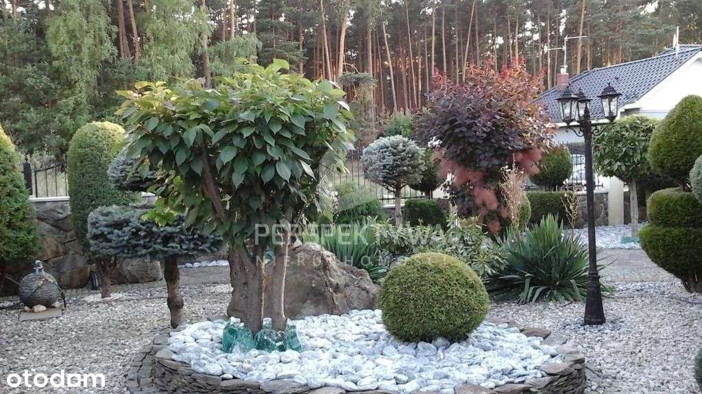 Dom Z Pięknym Ogrodem-Jędrzychów, Zielona Góra-19