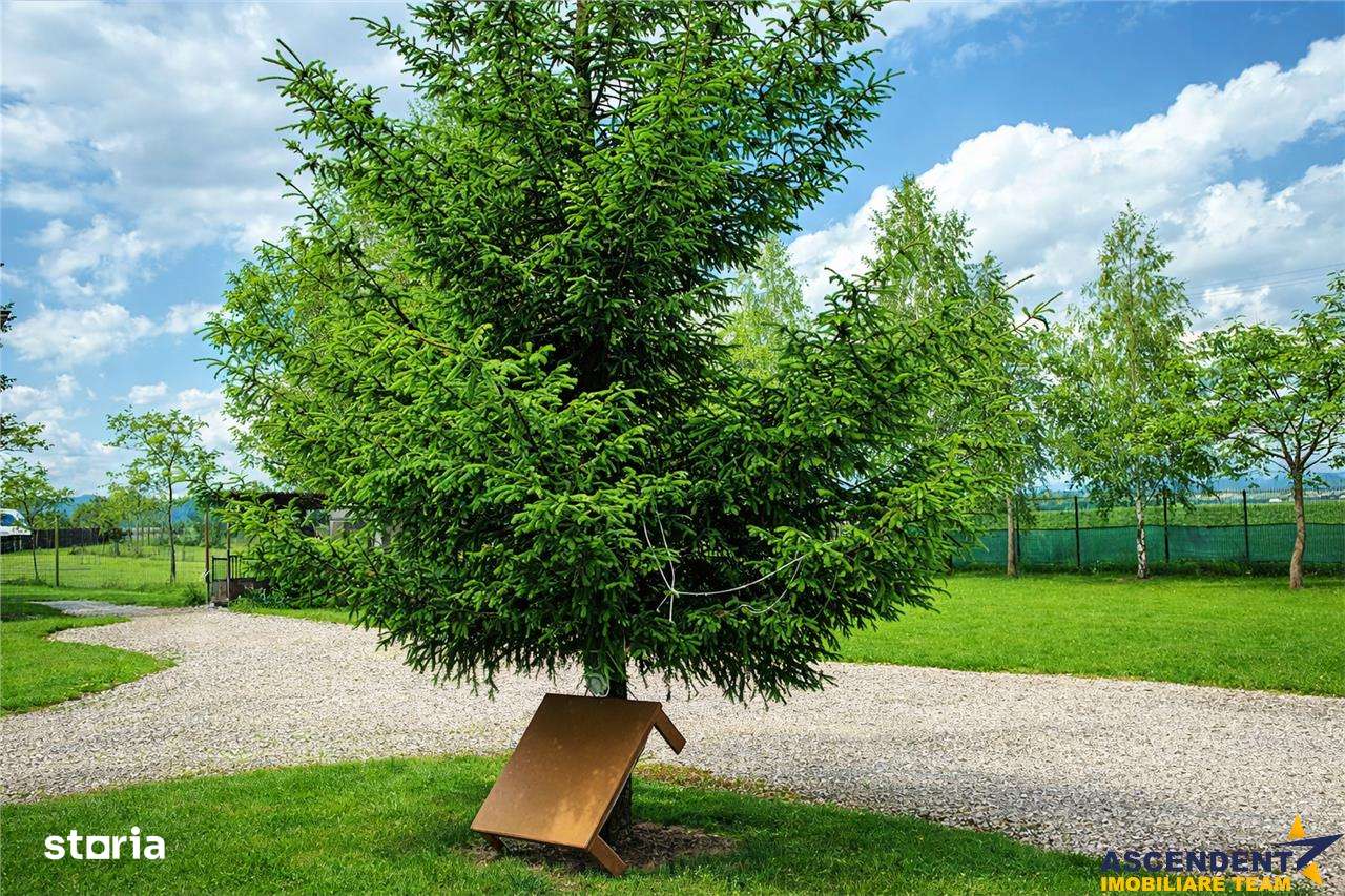 Film! Parcela urbanizata documentata, pe 1183 mp, cu PUZ Rasnov - Glaj - Imagine principală: 4/11