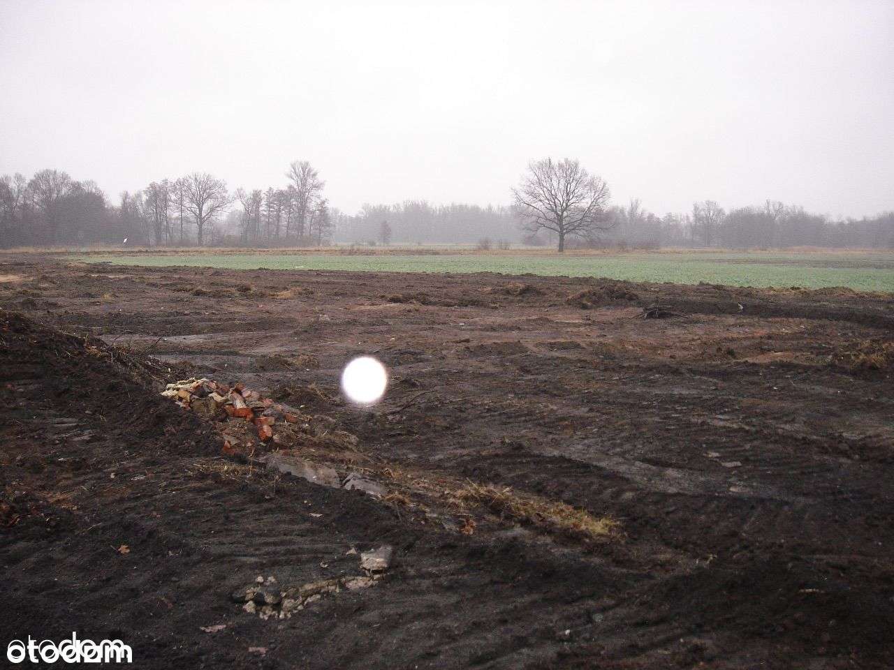 Grunty Rolne i Las 14 ha 2km od Zielona Góra  brzegu rzeki Zimny Potok - Pełny obrazek: 3/4