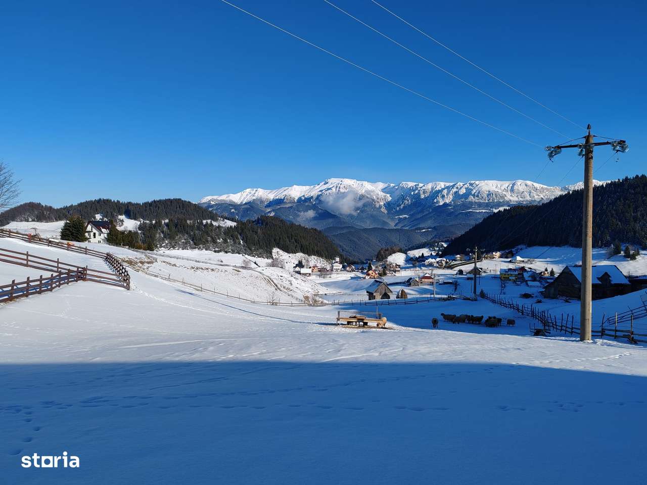 Teren Intravilan Fundata 1421Mp-4