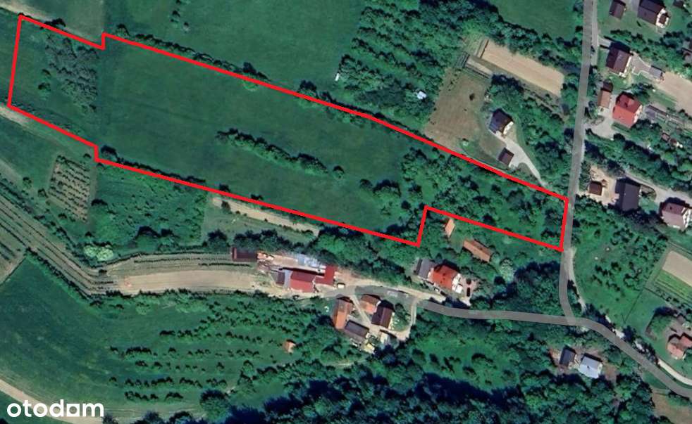 Działka budowlana z panoramicznym widokiem na Jezioro Rożnowskie - Pełny obrazek: 5/5