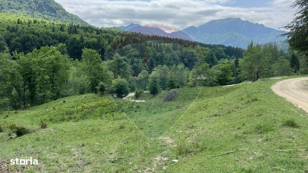 Teren 6000 mp, Vama Buzaului - vedere către Ciucaș - Imagine principală: 5/18