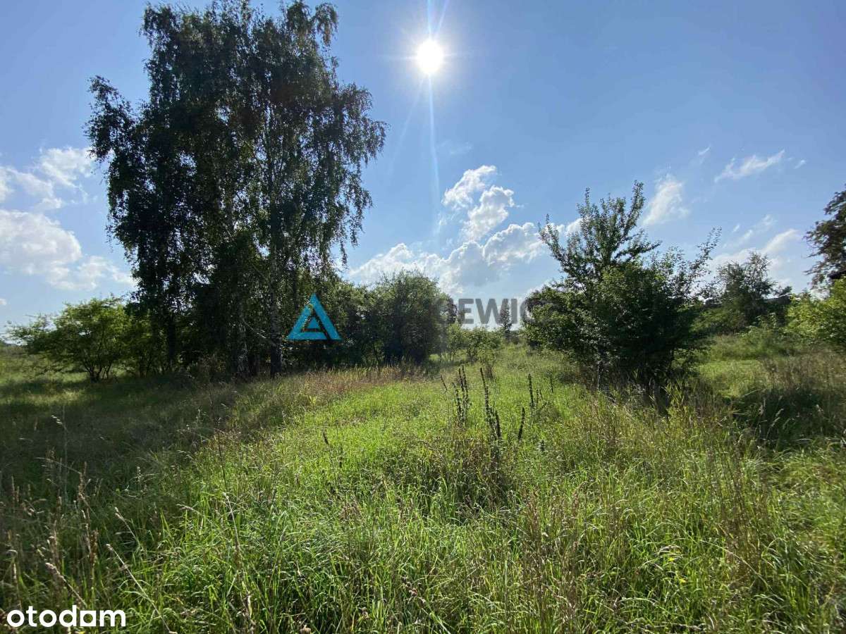 Działka w Cieplewie – idealna pod dom lub usługi - Pełny obrazek: 4/20