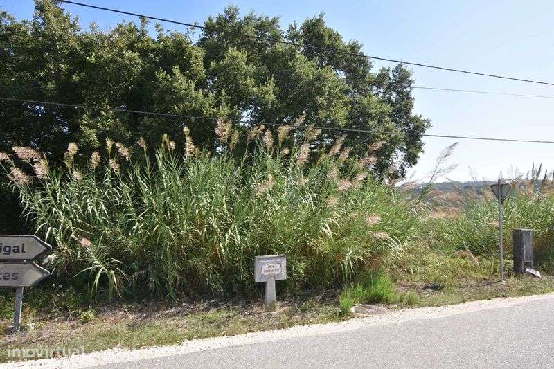 Terreno à venda em Rua Principal - TORRE - Grande imagem: 4/7