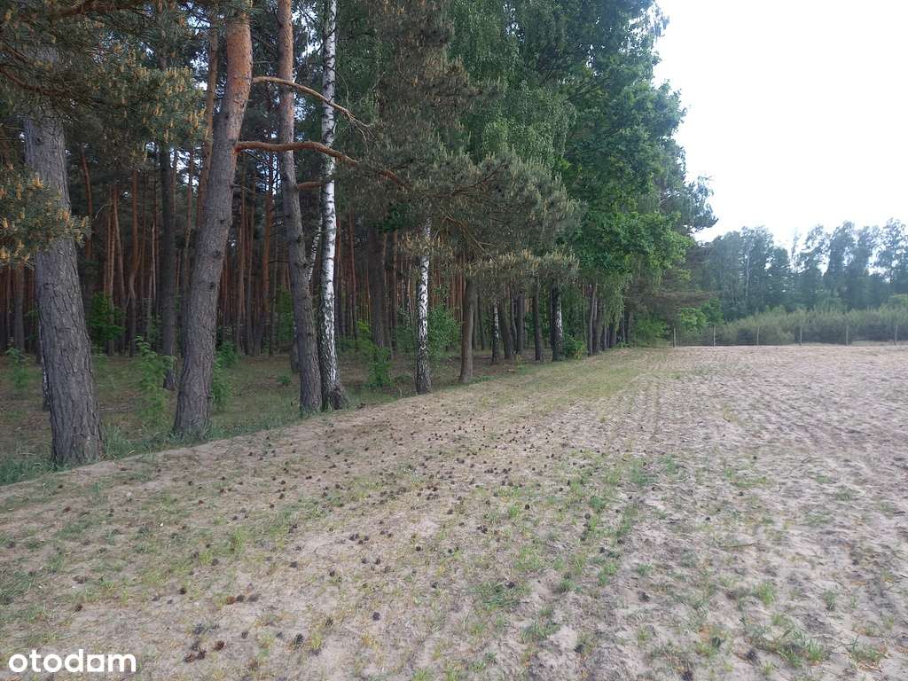 Działka Inwestycyjna pod Hotel/Pensjonat - Pełny obrazek: 4/11